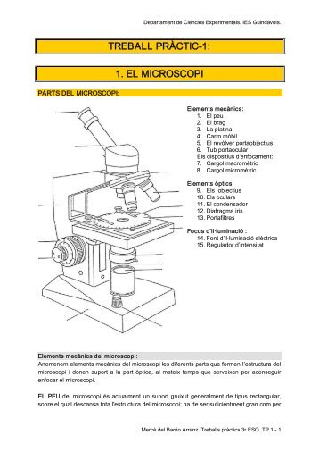 Treball pràctic 1: El microscopi. Tècniques de microscopia ...