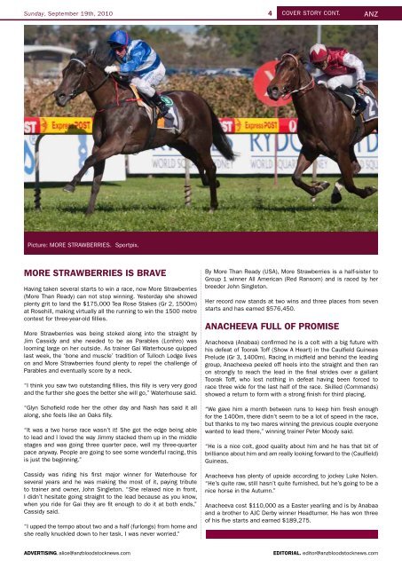 SHARKBITE - Anzbloodstocknews.com