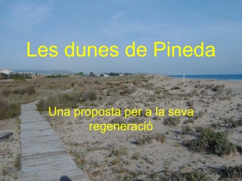 Les dunes de Pineda - Plataforma Salvem la Vall de la Riera