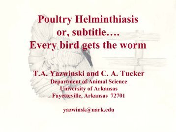 Turkeys, Ascardia dissimilis, Fenbendazole and Performance