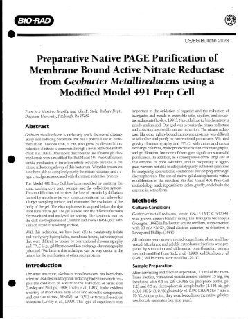 Preparative Native PAGE Purification of - Bio-Rad