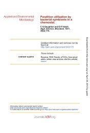 Parathion Utilization by Bacterial Symbionts in a Chemostat