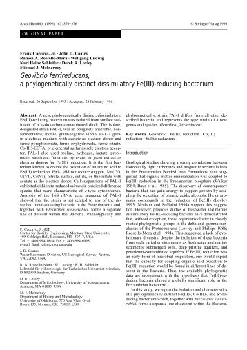 Geovibrio ferrireducens, a phylogenetically distinct ... - Geobacter.org