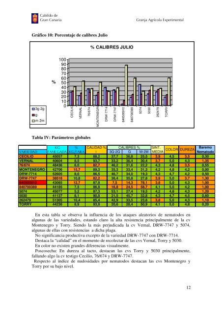 Primavera –Verano 2009