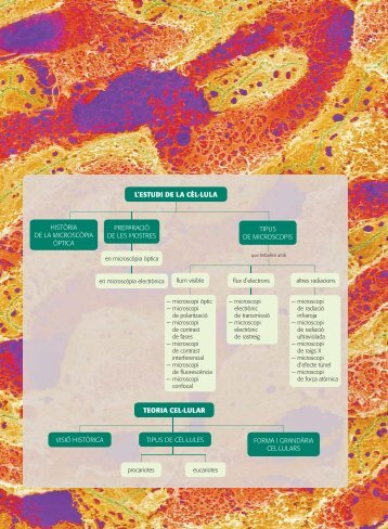l'estudi de la cèl ·lula i la teoria cel·lular - Castellnou Edicions