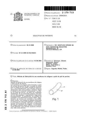 metodo de fabricacion de una membrana de colageno - Inicio