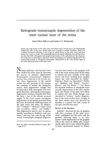 Retrograde transsynaptic degeneration of the inner nuclear layer of ...