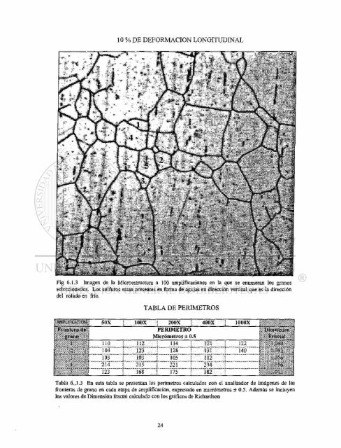 Download (11Mb) - Universidad Autónoma de Nuevo León