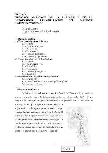 tema 21 tumores malignos de la laringe y