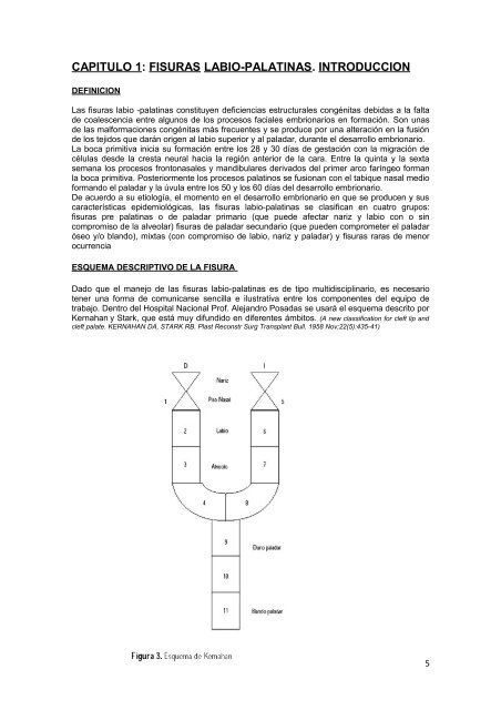 Descargar la Guia Clínica para el tratamiento de ... - Hospital Posadas