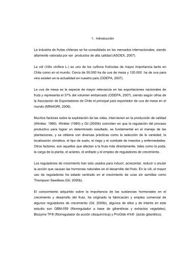 1. Introducción La industria de frutas chilenas se ha ... - Altavoz