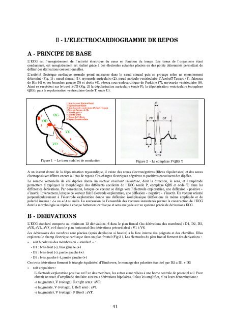 II - L'ELECTROCARDIOGRAMME DE REPOS A - PRINCIPE DE ...