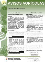 Manutenção do solo da vinha - Direcção Regional de Agricultura e ...