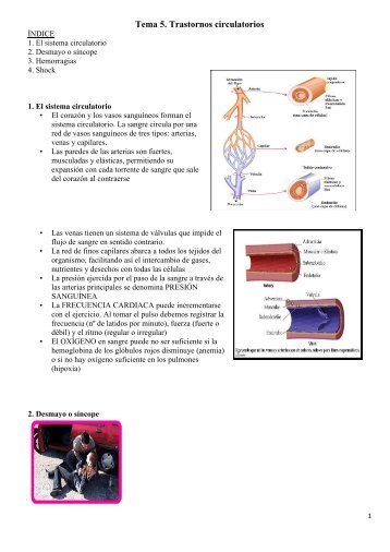 Tema 5. Trastornos circulatorios - Seritium