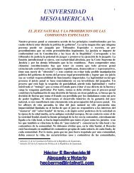 el juez natural y la prohibicion de las comisiones especiales.pdf