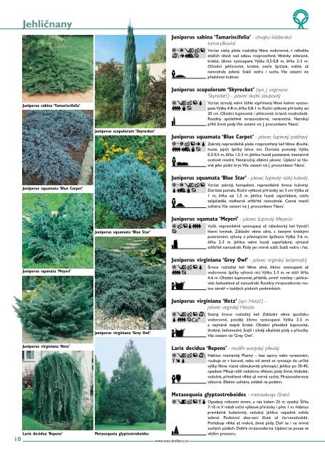 Katalog nejčastěji pěstovaných rostlin v našich podmínkách (PDF)