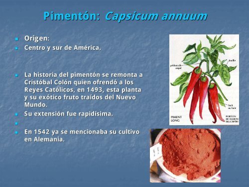 ESPECIAS Y CONDIMENTOS - OCW UPM