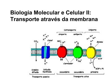 Transporte através da membrana - Laboratório de Biologia - IFSC