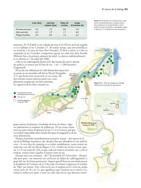 El retorn de la llúdriga - Fundació Catalunya - La Pedrera