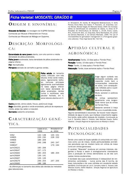 196-Folha Informativa - INRB