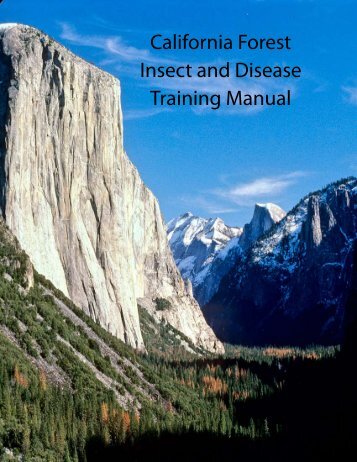 California Forest Insect and Disease Training Manual - UFEI