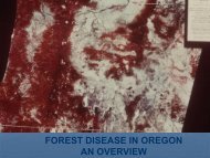 forest disease in oregon an overview - Oregon State University