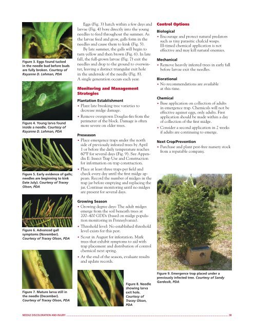 Integrated Pest Management for Christmas Tree Production: A ...