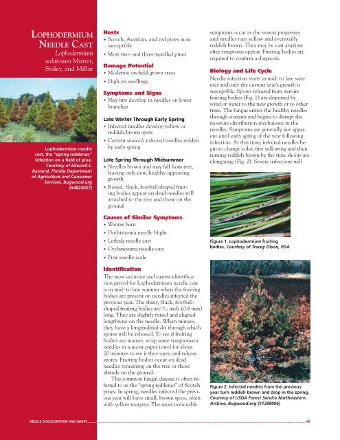 Integrated Pest Management for Christmas Tree Production: A ...