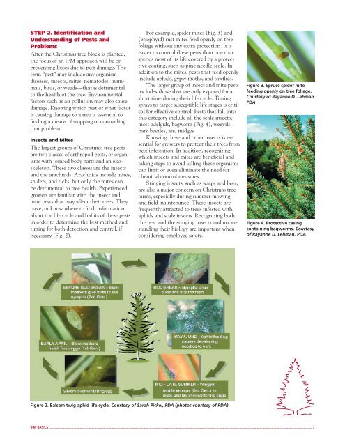 Integrated Pest Management for Christmas Tree Production: A ...