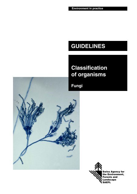 GUIDELINES Classification of organisms - Fungi