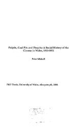 Pulpits, Coal Pits and Fleapits: A Social History of the ... - Cadair