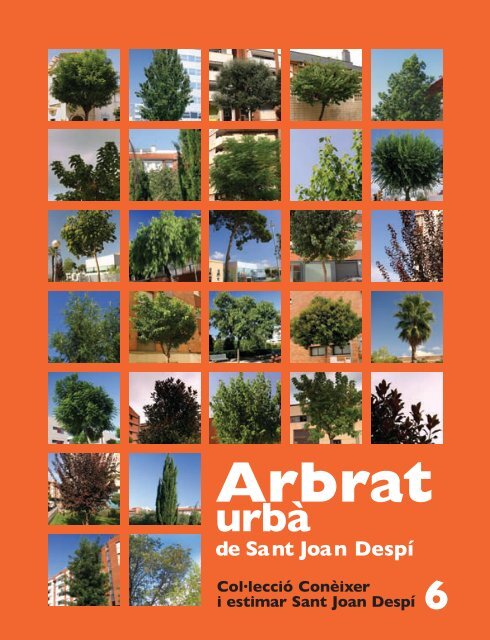 6- Arbrat urbà - Sant Joan Despí