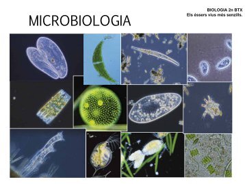 Microbiologia 2n BTX