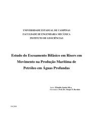 Estudo do Escoamento Bifásico em Risers em Movimento na ... - ANP