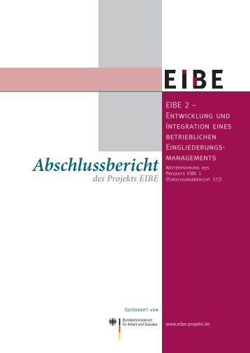 Abschlussbericht des Projekts EIBE - Bundesministerium für Arbeit ...