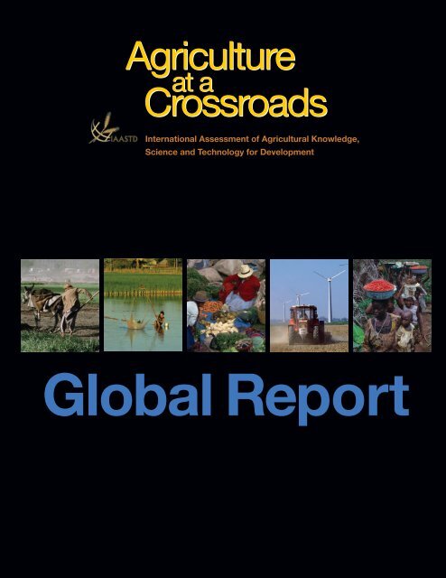 Agriculture%20at%20a%20Crossroads_Global%20Report%20(English)
