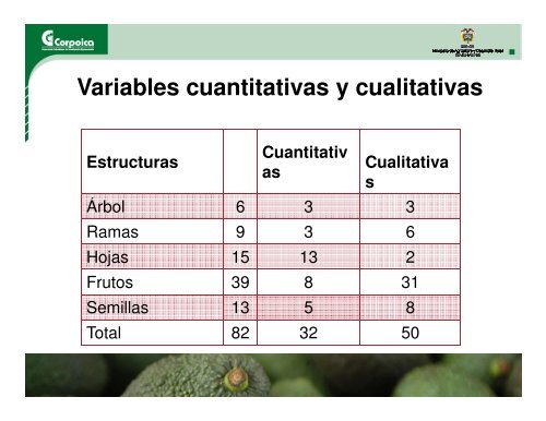 Estudio y evaluacion del comportamiento del cultivo de aguacate hass