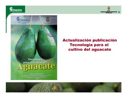 Estudio y evaluacion del comportamiento del cultivo de aguacate hass