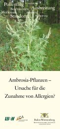 Ambrosia-Pflanzen – Ursache für die Zunahme von Allergien?