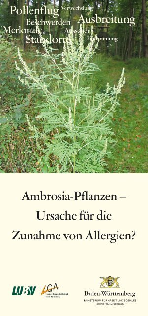 Ambrosia-Pflanzen – Ursache für die Zunahme von Allergien?