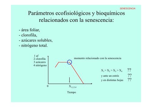 Descargar Archivo