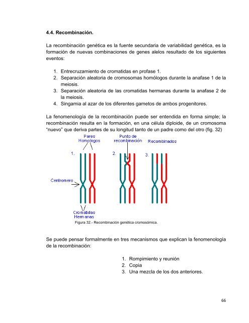 BIOLOGÍA - Tecnológico de Estudios Superiores del Oriente del ...