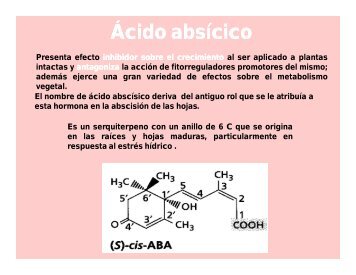 Clase 3