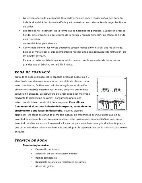 “PODA DE FORMACIÓN” Arte, ciencia, paciencia y ... - ISA Hispana