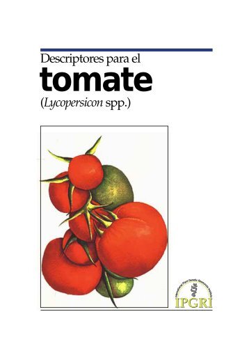 Descriptores para el tomate - Esporus -- Centre de conservació de ...