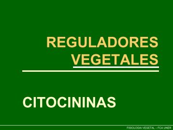 PRINCIPALES ACCIONES