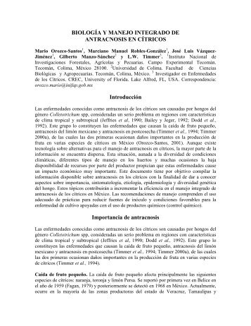 BIOLOGIA Y MANEJO DE ANTRACNOSIS EN CÍTRICOS.pdf