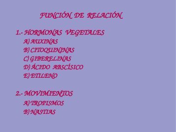 función de relación 1. hormonas vegetales 2. movimientos