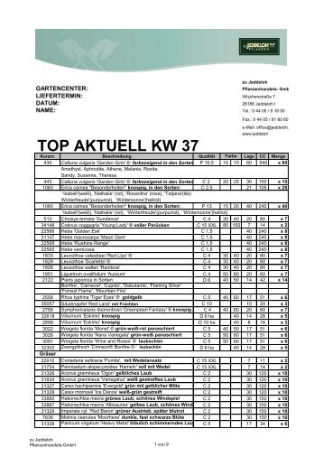 TOP AKTUELL KW 37 - zu Jeddeloh