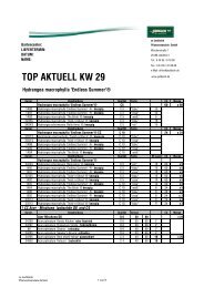 TOP AKTUELL KW 29 - zu Jeddeloh